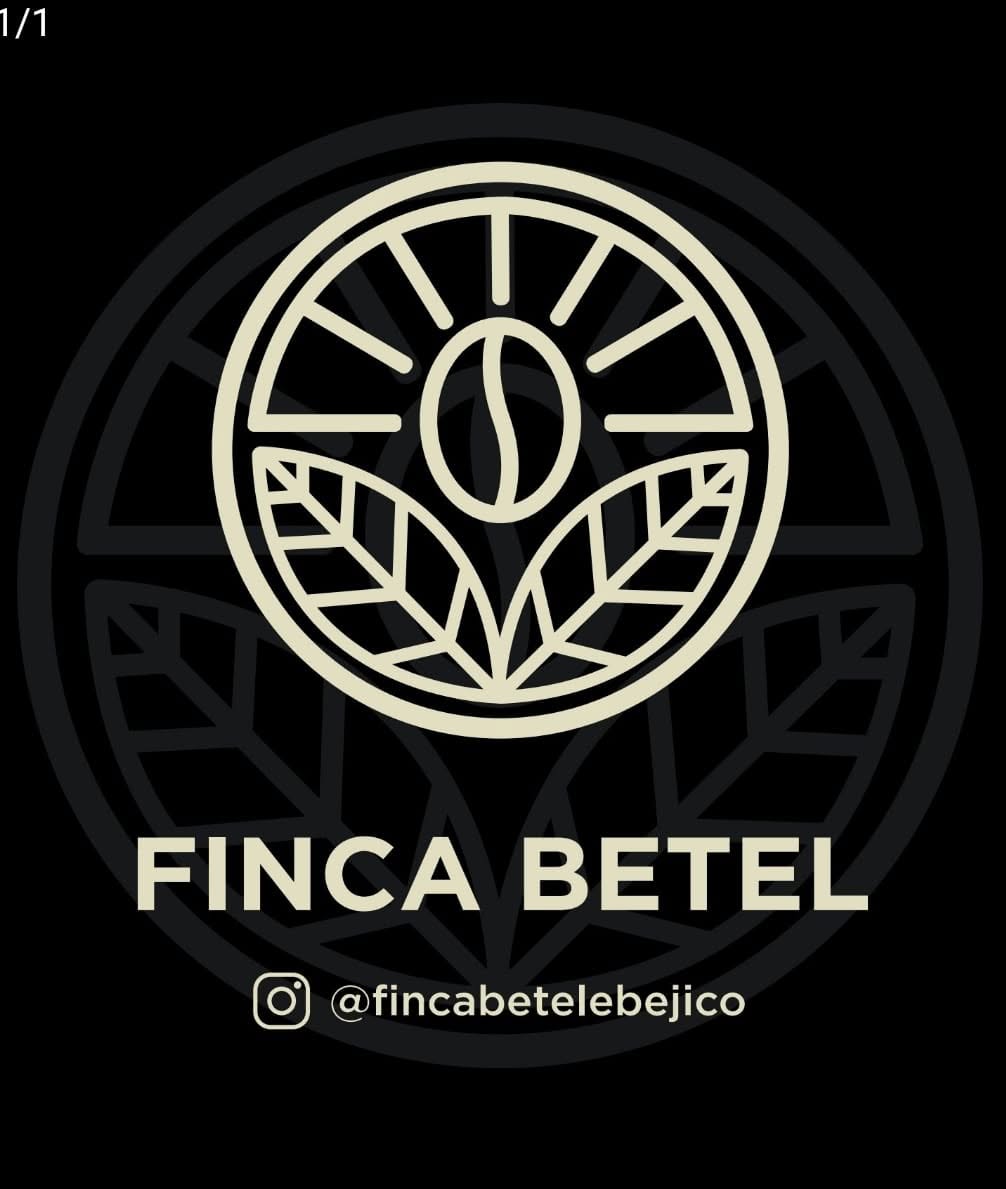 Tour por plantación de café en Ebéjico