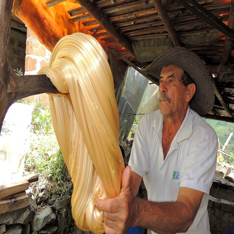 Panela moldeada y blanqueado
