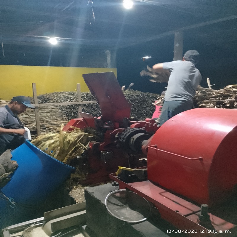 Taller de Panela